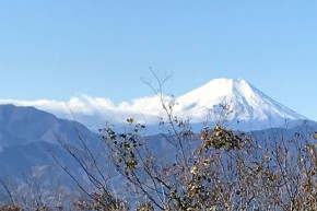 謹賀新年